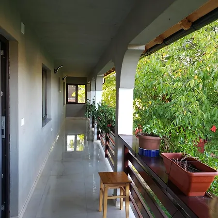 Casa Nicoleta-3