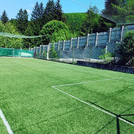 3 Stejari Brasov-3
