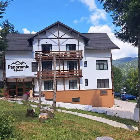 Vila Panoramic Busteni-3