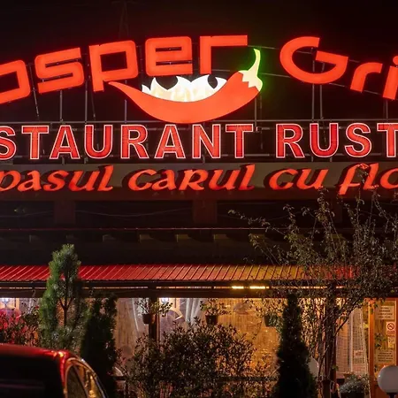 Pensiunea Carul cu flori-3