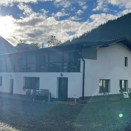 Casa Firuta Borsa-3