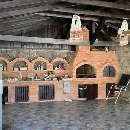 Casa Firuta Borsa-2