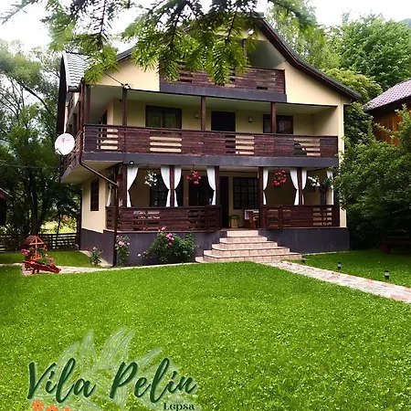 Vila Pelin-2