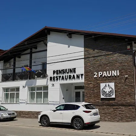 Pensiune Restaurant Pizzerie 2 Păuni-3