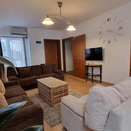 RORO Residence - 2 apartamente într-o vilă central-2
