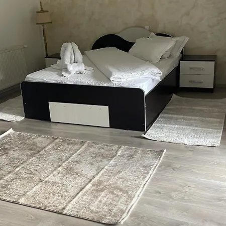 Casa Voronet-3