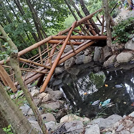 Vis Împlinit-3