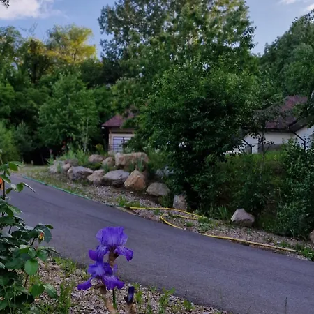 Provence Suceava-3