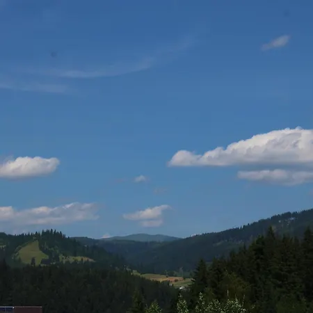 Pensiunea Negrești-3