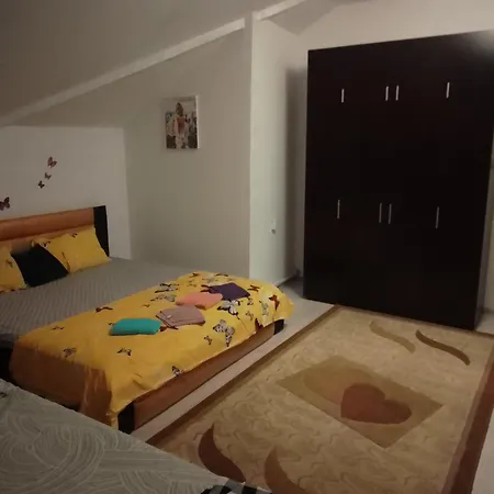 Casa Mea-Casa Mocanu-3