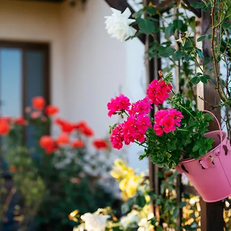 Casa Dora-3