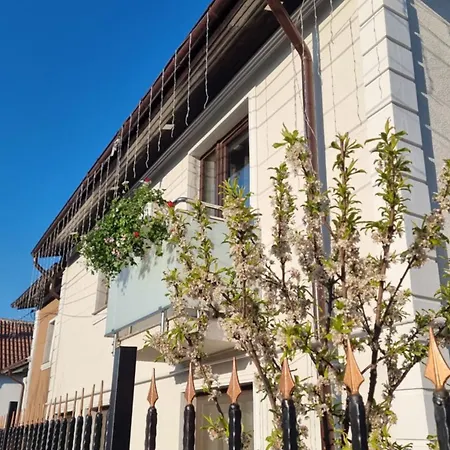 Casa Petcu-2
