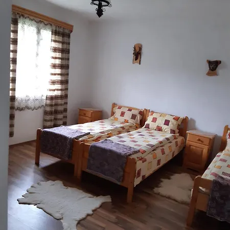 Casa De Vacanta Joldes-3
