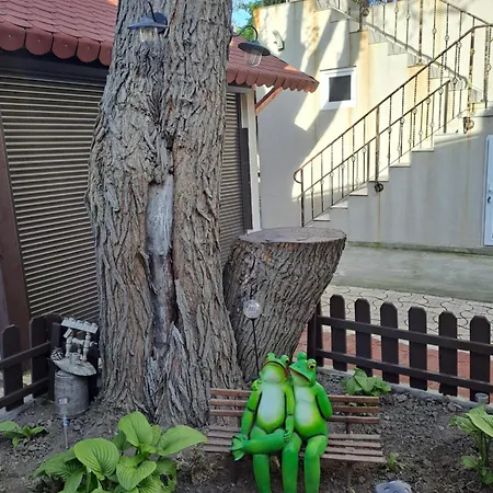 Casa Ancuta-2