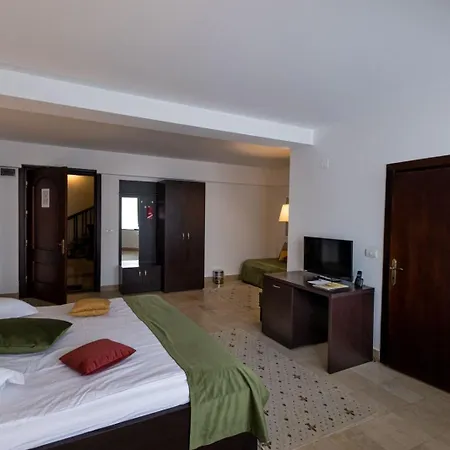 Hotel Ciobanasu-3