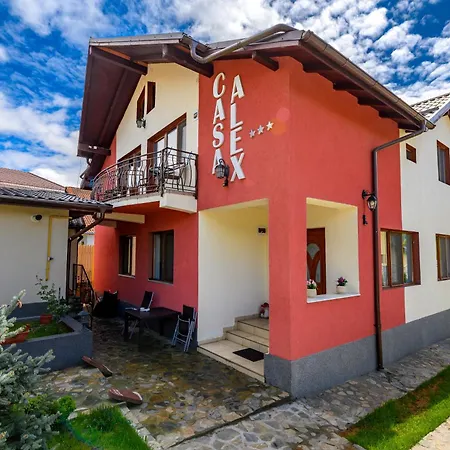 Casa Alex Calimanesti-2