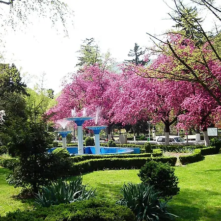 Pensiunea Magic-3