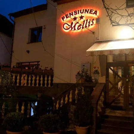 Pension Mellis Cluj Napoca-2