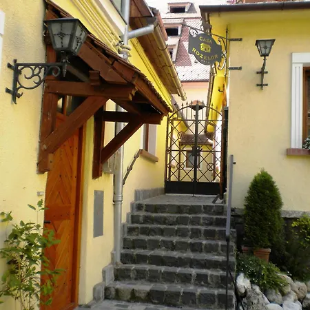 Casa Rozelor-3