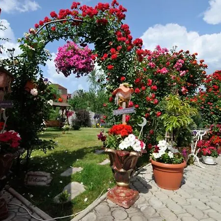 Pensiunea Sofia-2