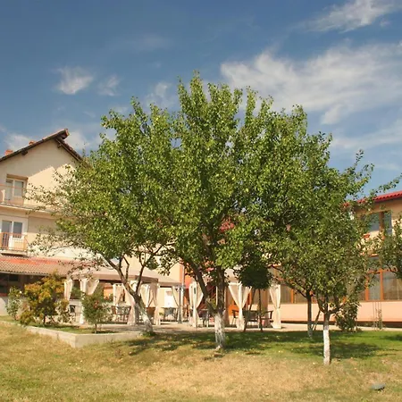 Pension Andronic-2