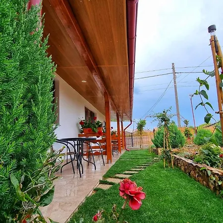 Pensiunea Casa Harly-2