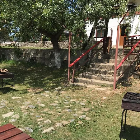 Pensiunea Trei Ponei-2
