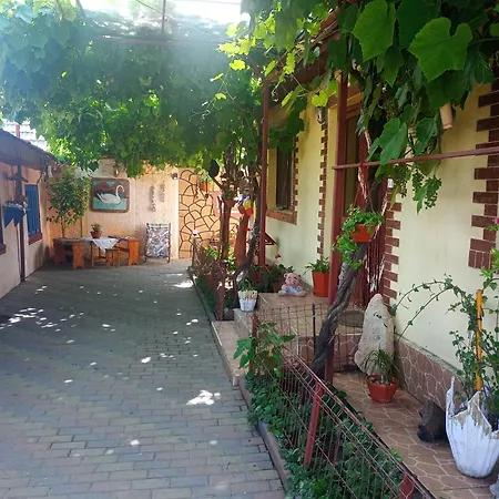 Casa Cristian-3