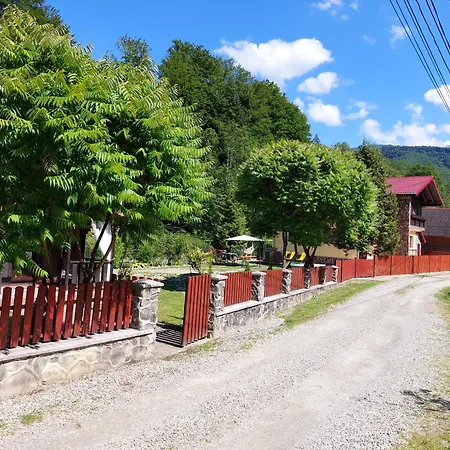 Dor de Munte Transfăgarasan-3