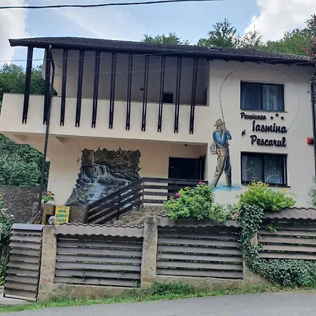 Pensiunea Iasmina si Pescarul-3