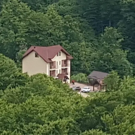 Pensiunea 7 Brazi II-3