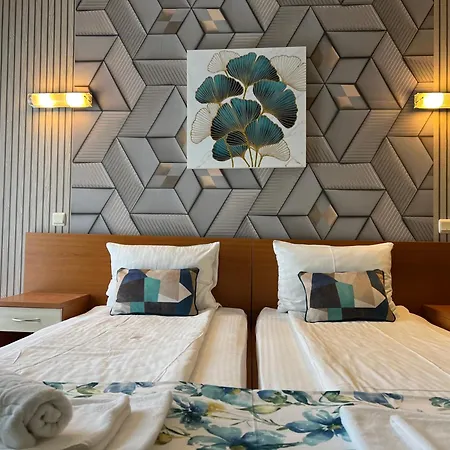 Hotel Violeta-3