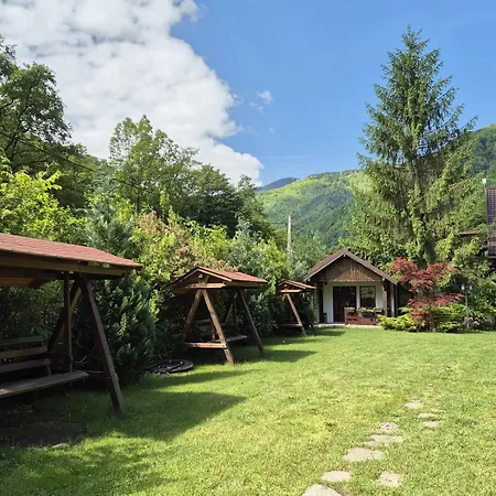 Pensiunea Dumbrăvița-2
