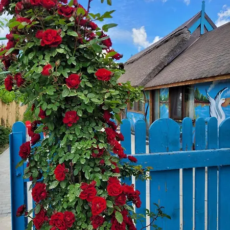 Casa Malul Dunării-3
