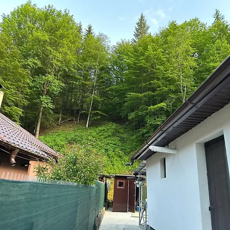 Vila-cabană Izvorul Muntelui-3