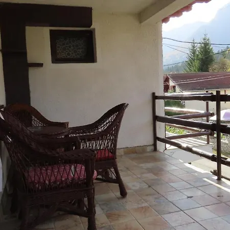 Vila Nik Busteni-3