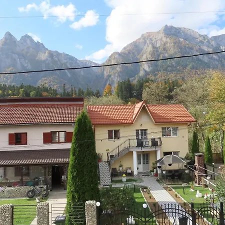 Vila Nik Busteni-2