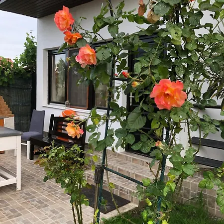 Vila Rianna-3