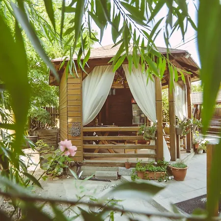 Casa Mister-2