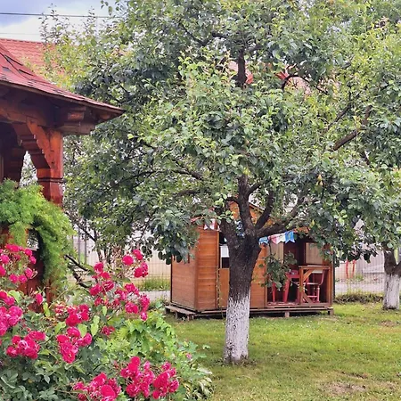 Pensiunea Casa Ancuta-3