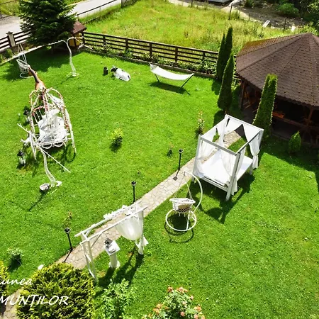 Pensiunea Floarea Munților-3