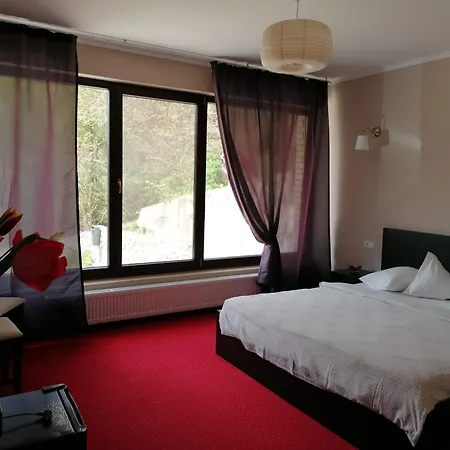 Pensiunea Decebal Resort - Cazanele Dunarii-2