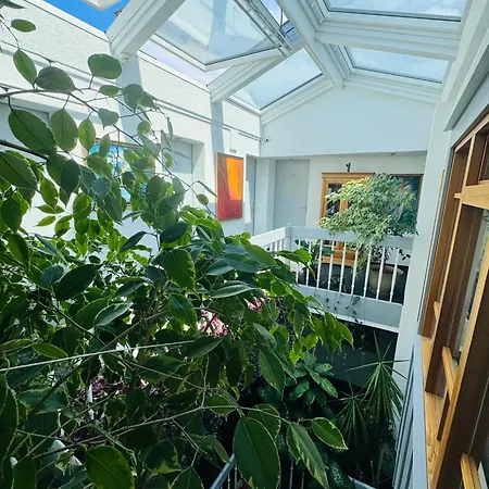 Villa Helvetia-2