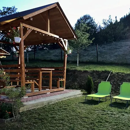 Pensiunea Apuseni-2