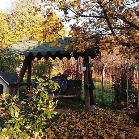 Casa Smeilor Horezu-3