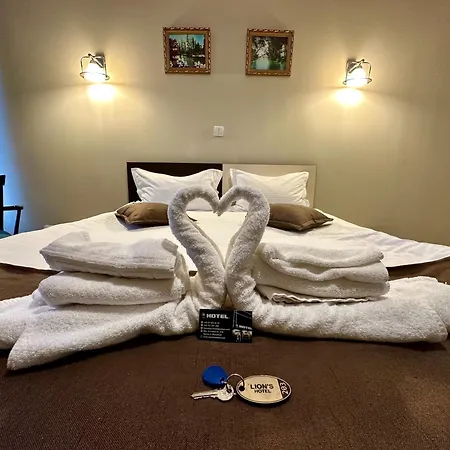 Lion'S Hotel-2