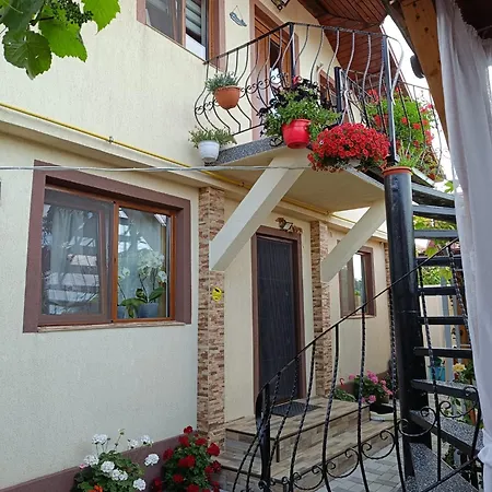 Casa Bianca si Andrei-3