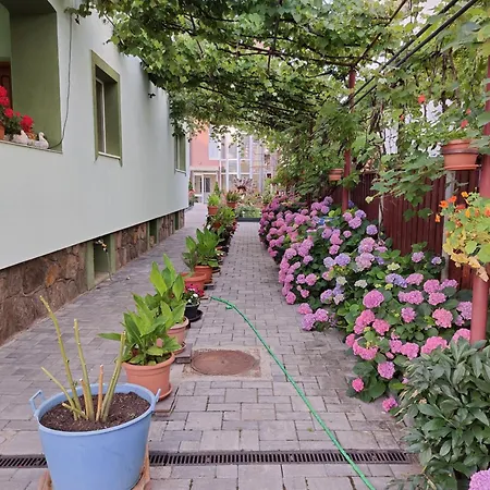 Rodica Apartment-3