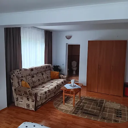 Vila Bogdan-2