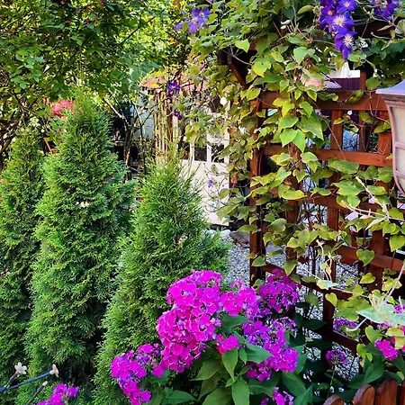 Casa Rosca-3